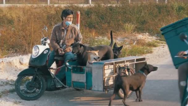 Honden zitten in een aanhangwagen van een Thaise motorfiets met een kinderwagen. Asia — Stockvideo