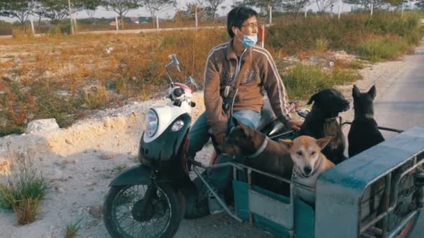 Honden zitten in een aanhangwagen van een Thaise motorfiets met een kinderwagen. Azië. Slow Motion — Stockvideo