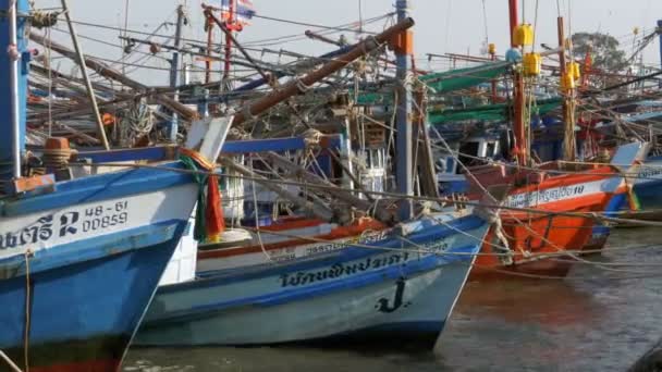 Mnoho různých starých dřevěných rybářských člunů na molu. Thajsko. Asie. Pattaya — Stock video