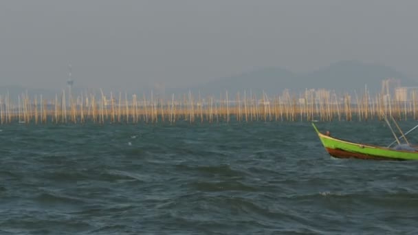 Aquicultura de moluscos Fazenda de ostras no mar na Tailândia, Pattaya, Ásia — Vídeo de Stock