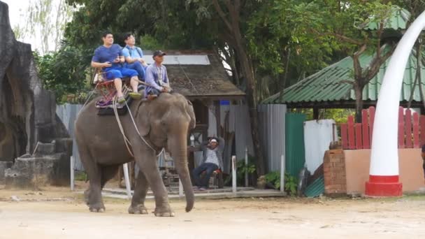Toeristen rijden op olifanten. Boerderij van de olifant in Thailand, Pattaya. — Stockvideo