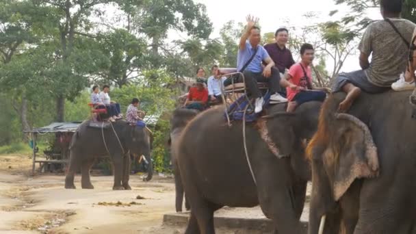 Turister rida på elefanter. Elephant farm i Thailand, Pattaya. — Stockvideo