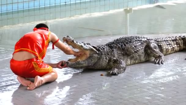 Resultado de imagen de hombre con mano en boca de cocodrilo