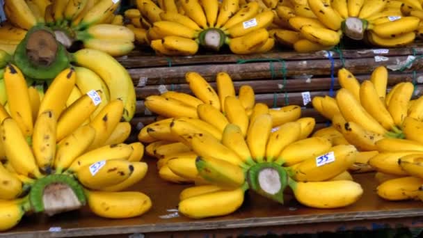 Small yellow Thai bananas on the counter — Stock Video