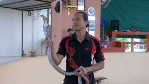 Show de serpientes. Snake Handler muestra trucos con serpientes venenosas. Tailandia — Vídeo de stock