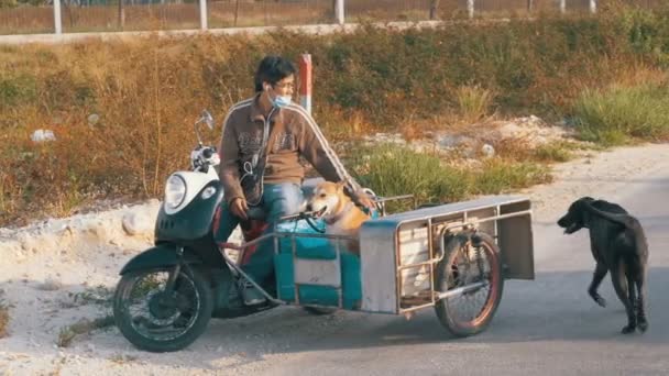 Los perros están sentados en un remolque de una motocicleta tailandesa con un cochecito. Asia. Moción lenta — Vídeos de Stock