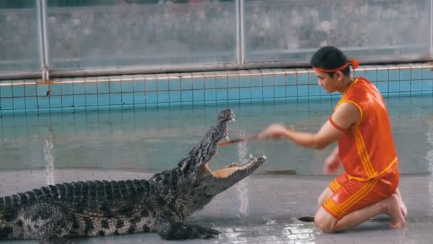Krokodil Toon op beroemde Pattaya krokodillenboerderij. Thailand. Man in de kooi met krokodillen — Stockvideo