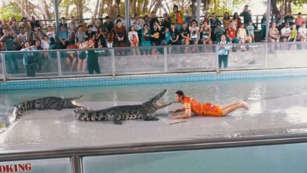 Люди на шоу экстремальных крокодилов. Знаменитая крокодиловая ферма Паттайи. Таиланд. Азия — стоковое видео