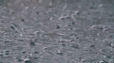Büyük yağmur damla bir su birikintisi sırasında bir fırtınasına düşmek. Su damlaları.