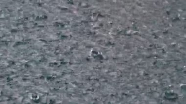 Büyük yağmur damla bir su birikintisi sırasında bir fırtınasına düşmek. Su damlaları.