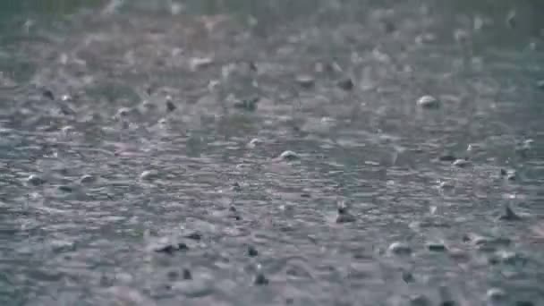 Grandes gouttes de pluie tombent dans une flaque d'eau pendant une tempête de pluie. Gouttes d'eau au ralenti. — Video