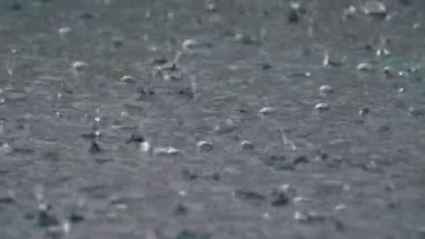 De grandes gouttes de pluie tombent dans une flaque d'eau pendant une tempête de pluie. Gouttes d'eau . — Video