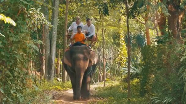 Turisté jezdit slona s trenérem v džungli. Thajsko — Stock video