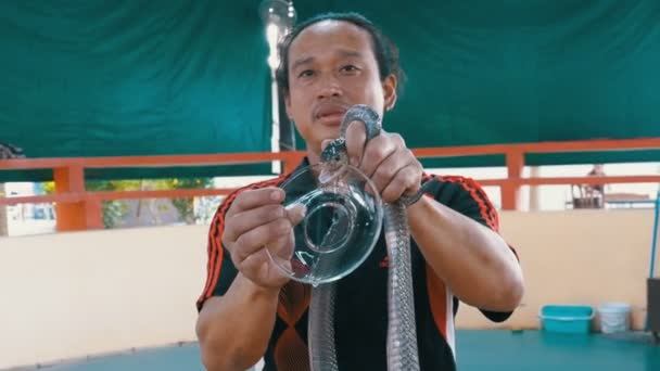 Φίδι δείχνουν. Πρόγραμμα χειρισμού φίδι δείχνει κόλπα με δηλητηριώδη φίδια. Ταϊλάνδη — Αρχείο Βίντεο