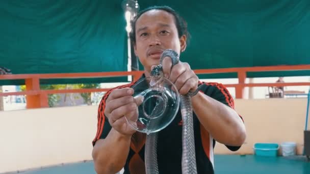 Show de serpientes. Snake Handler muestra trucos con serpientes venenosas. Tailandia — Vídeos de Stock