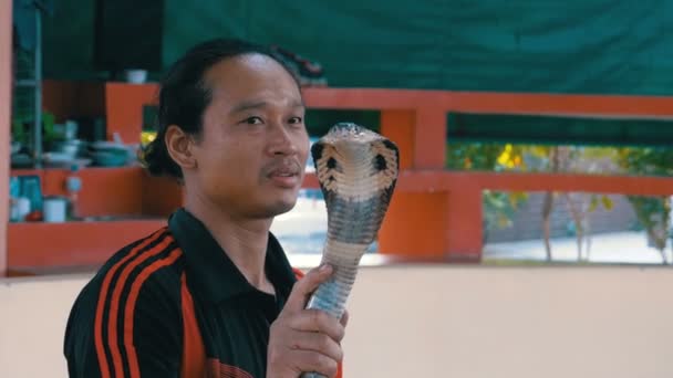 Yılan göster. Hileler ile zehirli yılan yılan işleyicisini gösterir. Tayland — Stok video