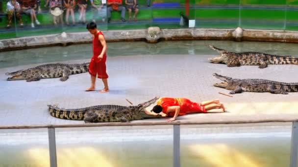 Krokodil show. A tréner helyezi a fejét krokodil állkapcsok. Thaiföld. Asia — Stock videók