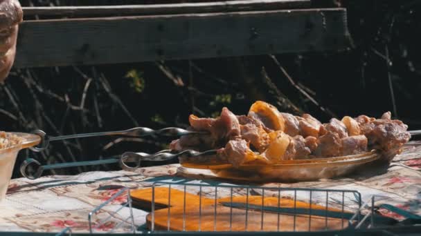 Spiesjes met gemarineerde rauwe Kebab op tafel buiten in het dorp — Stockvideo