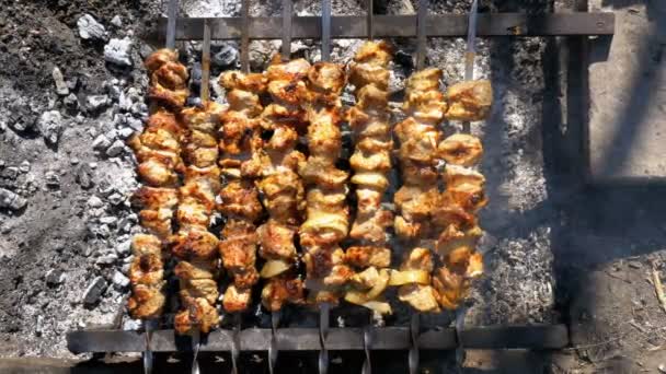 Вид сверху на приготовление шашлыков на шашлыках над костром в природе — стоковое видео