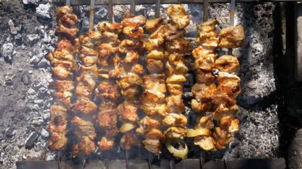 Vista superior de la preparación de Shish Kebabs en Skewers sobre un fuego en la naturaleza — Vídeo de stock