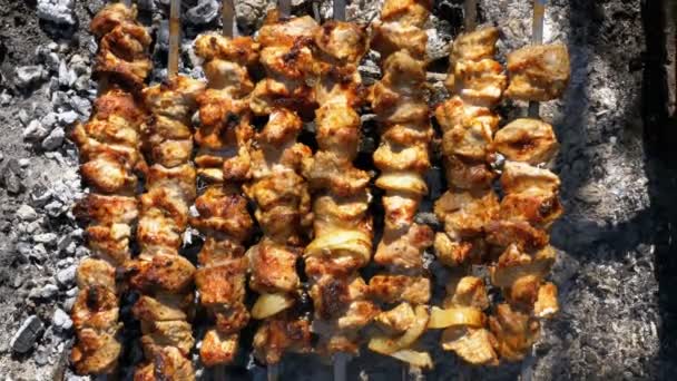 Top View förbereda Shish Kebab på spett över öppen eld i naturen — Stockvideo