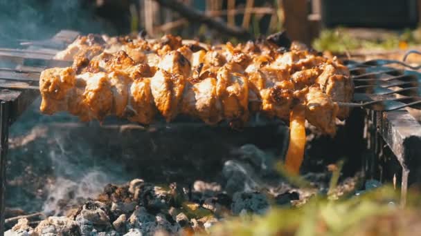 Voorbereiding Shish Kebab op spiesjes boven een vuur in de natuur. Slow Motion — Stockvideo