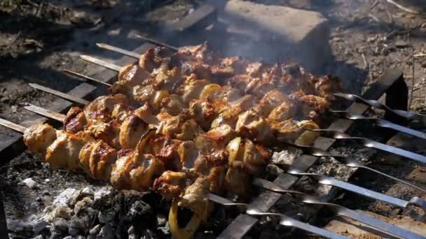 Forberede Shish Kebabs på Skewers over a Fire in Nature. Langsom bevegelse – stockvideo