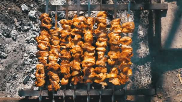 Vista superior de la preparación de Shish Kebabs en Skewers sobre un fuego en la naturaleza — Vídeo de stock