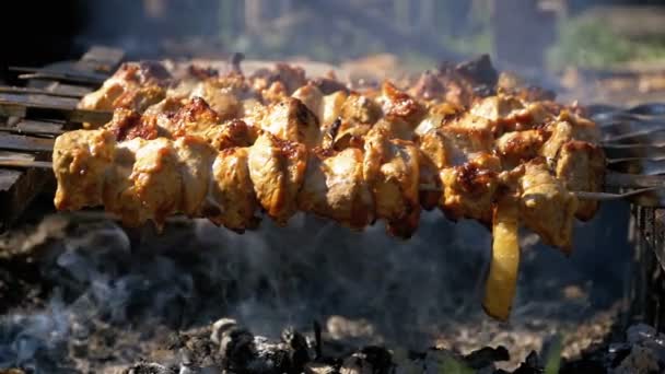 Cuisiner des brochettes Shish Kebabs sur un feu dans la nature. Mouvement lent — Video