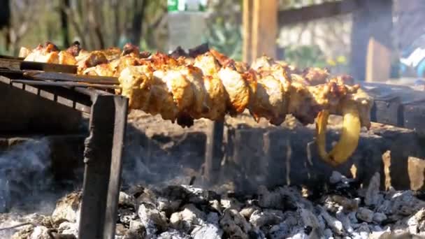 Příprava šíš kebab na jehle ohni v přírodě — Stock video