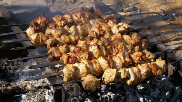Příprava šíš kebab na jehle ohni v přírodě. Zpomalený pohyb — Stock video
