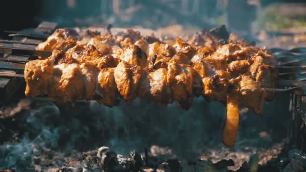 Cuisiner des brochettes Shish Kebabs sur un feu dans la nature. Mouvement lent — Video