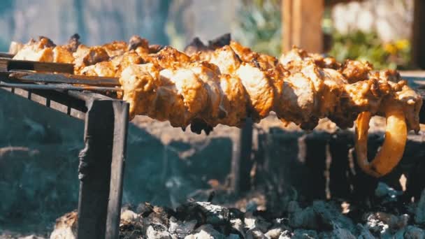 Приготовление шашлыков на шашлыках у костра в природе. Slow Motion — стоковое видео