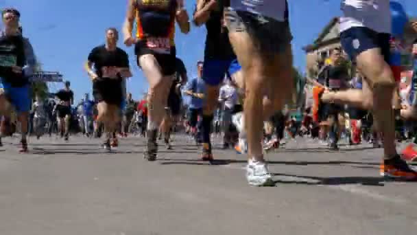 Maratón de la ciudad. Multitud de personas y atletas corren a lo largo del camino en la ciudad — Vídeo de stock