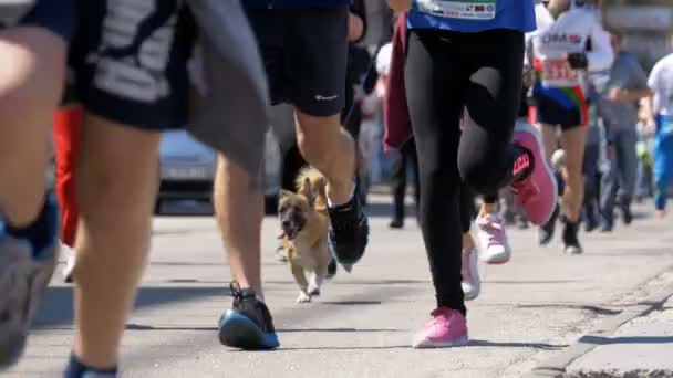 Nogi tłum ludzi i sportowców biegaczy uruchomić wzdłuż drogi w mieście — Wideo stockowe