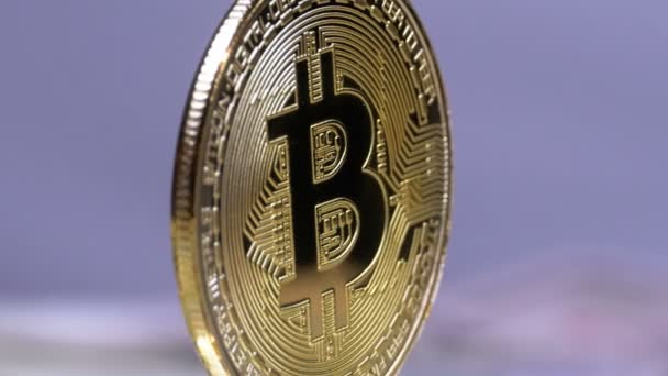 Moneda de Bitcoin oro Criptomoneda, BTC girar sobre fondo blanco con las facturas de dólares — Vídeo de stock