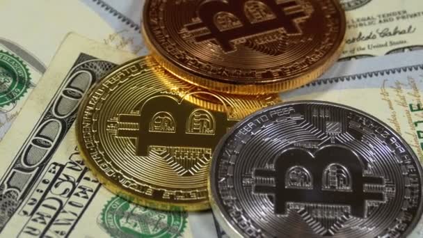 Bitcoin Coins BTC и Dollars Rotate — стоковое видео