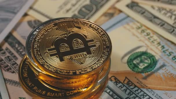 Stapel von Münzen aus Bitcoin, Bitcoin und Dollarscheinen rotieren — Stockvideo