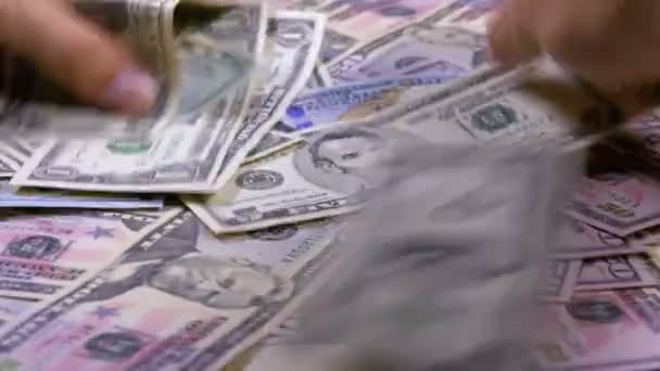 Heren handen verzamelen in de Heap Amerikaanse Dollars of Various Denominations — Stockvideo