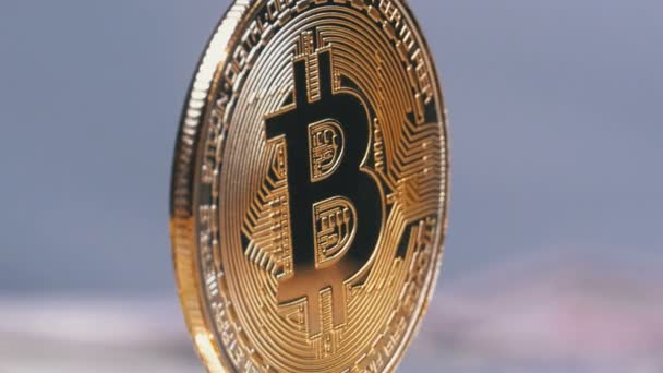 Золота монета Bitcoin Cryptocurrency, БТД поворот на білому тлі з векселями доларів — стокове відео