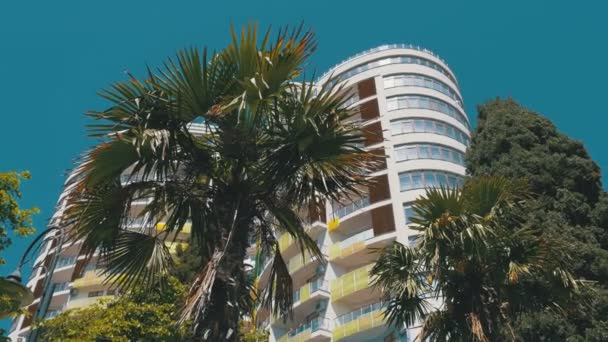 Современный многоэтажный отель и пальмы против голубого неба — стоковое видео