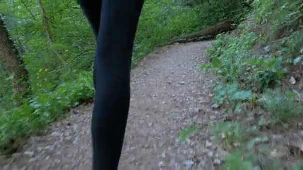 Vista desde la espalda a la mujer viajera Senderismo en el sendero del bosque en la montaña — Vídeos de Stock