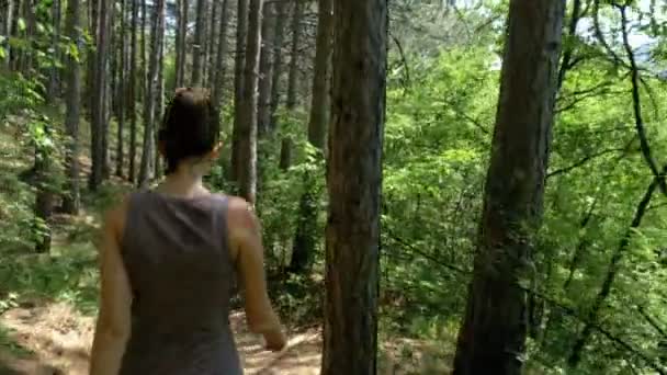 Nézet hátulról utazó nő túrázás, hegyi erdei ösvényen úton — Stock videók