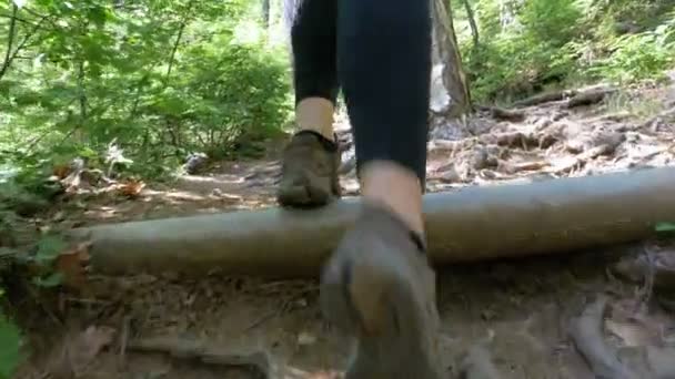 Blick auf die Füße einer Wanderin auf dem Waldweg in den Bergen — Stockvideo