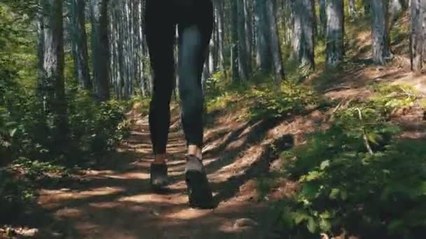 Pohled na nohách cestovatel žena turistiky na cestě lesní stezka v horských — Stock video