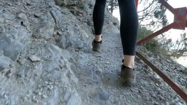 Vista aos pés da mulher viajante Caminhadas Caminhando no caminho da trilha em Stone Mountain. Movimento lento — Vídeo de Stock