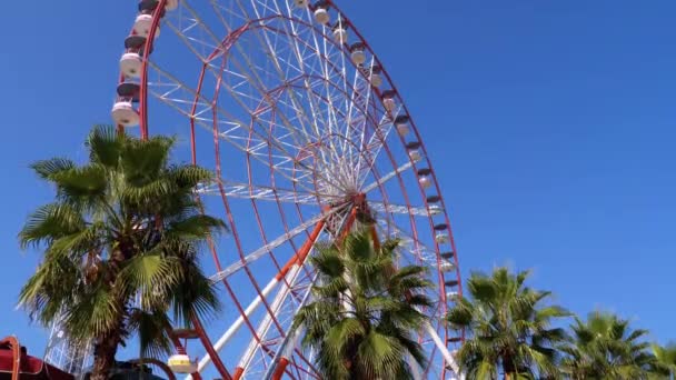 Колесо обозрения против голубого неба рядом с пальмами в курортном городе, солнечный день — стоковое видео