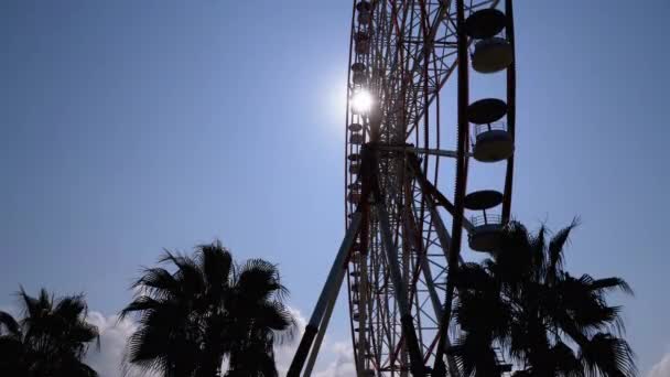 阳光明媚的日子里，摩天轮在棕榈树附近的太阳蓝天映衬下的轮廓 — 图库视频影像