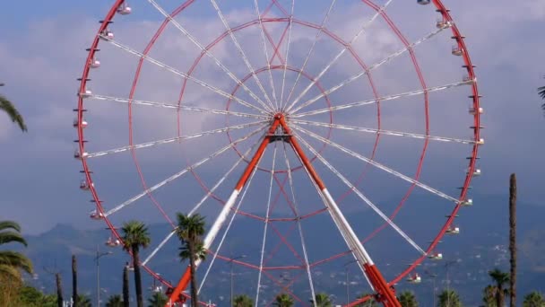 Güneşli bir günde, Palmiye ağaçlarının yanında bulutlar varken, Mavi Gökyüzüne karşı dönme dolap. — Stok video