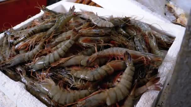 Camarão de mar fresco vendido no balcão de um mercado de peixe de rua — Vídeo de Stock